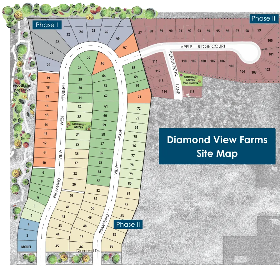 Diamond View Farms